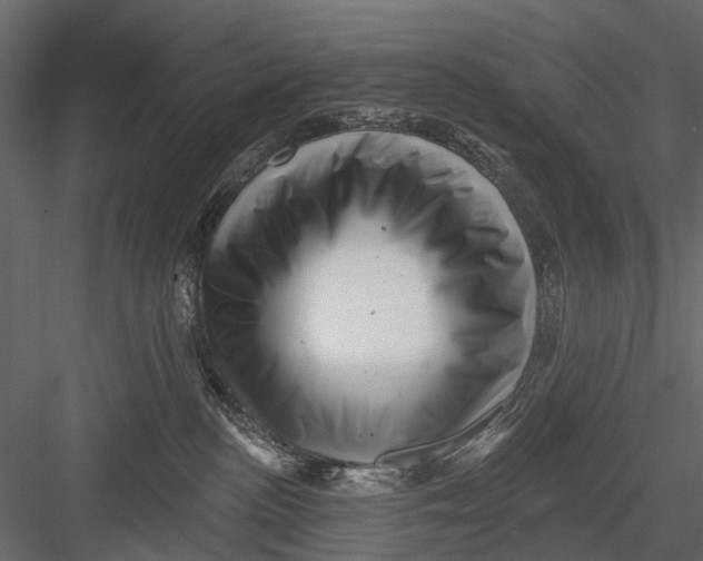 X0000082980188200702230043