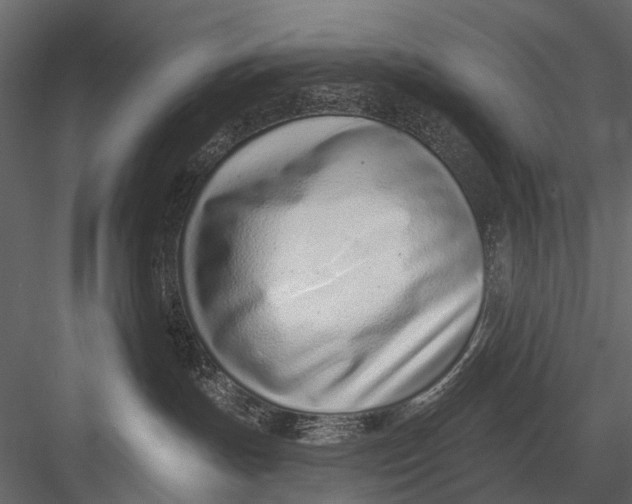 X0000082980191200702230043