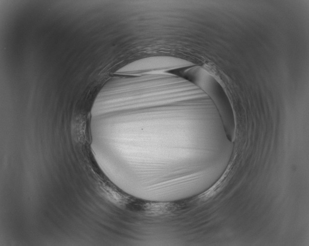 X0000082980192200702230043