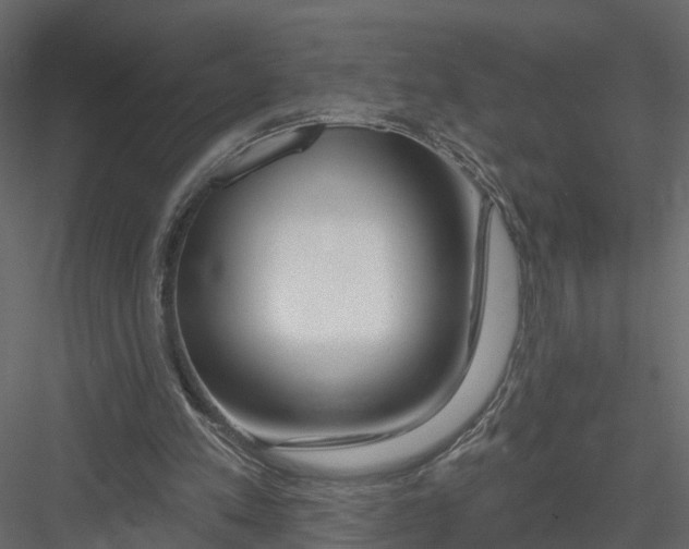 X0000082980197200702230042