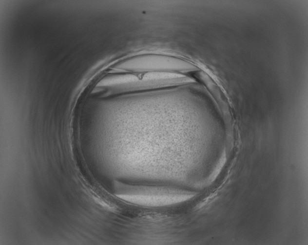 X0000082980199200702230042