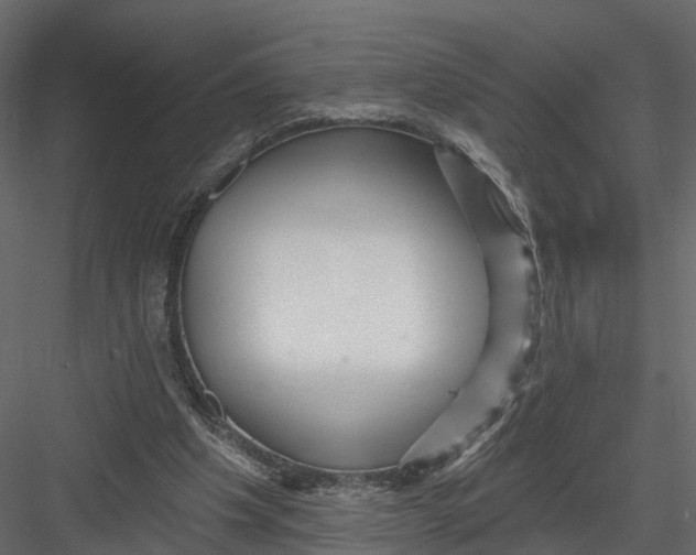 X0000082980201200702230042