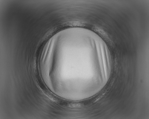 X0000082980202200702230042