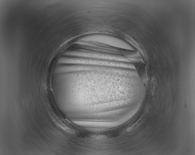 X0000082980203200702230042