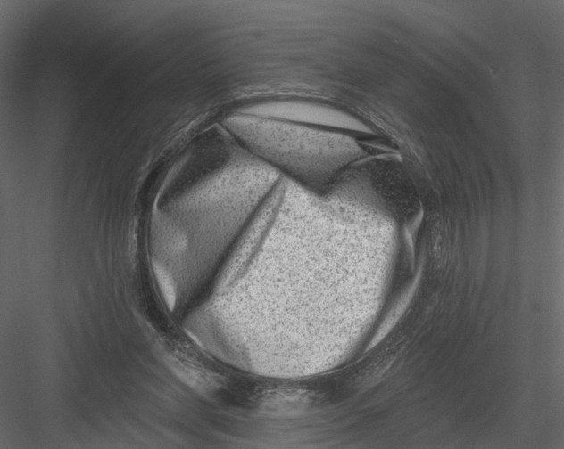 X0000082980206200702230042