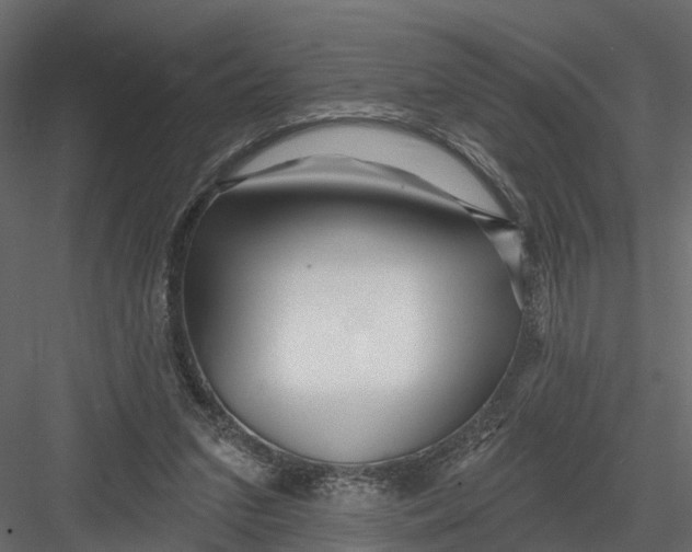 X0000082980207200702230042