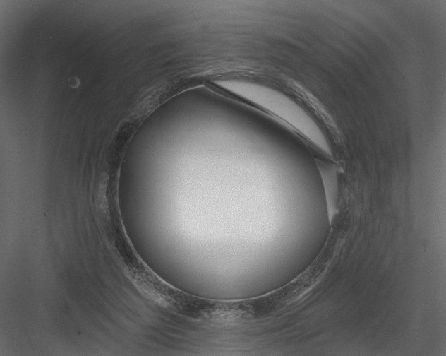 X0000082980209200702230042