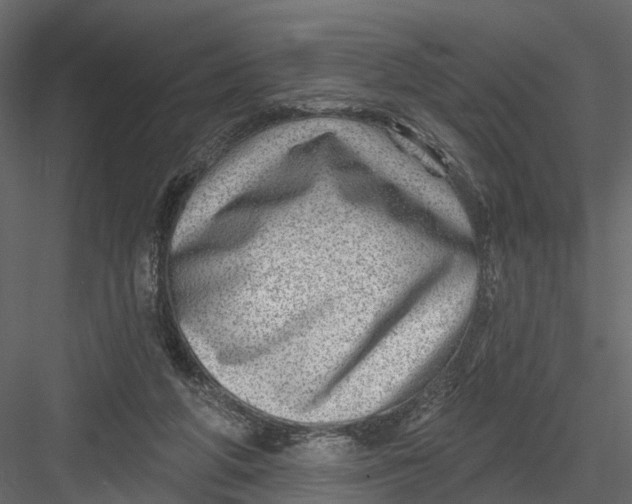 X0000082980210200702230042