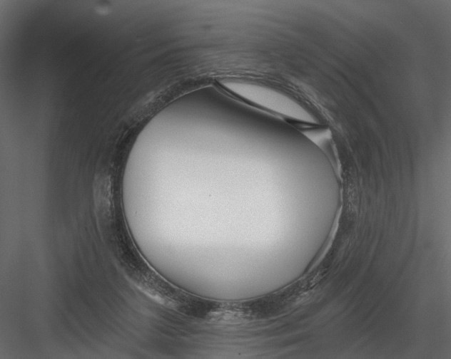 X0000082980211200702230042