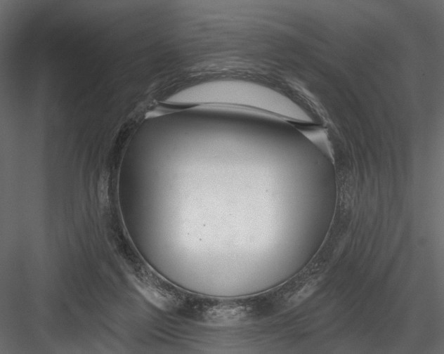 X0000082980213200702230042
