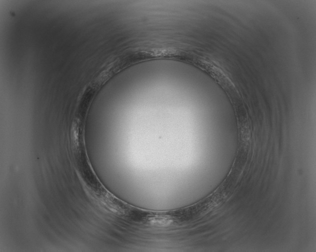 X0000082980214200702230042