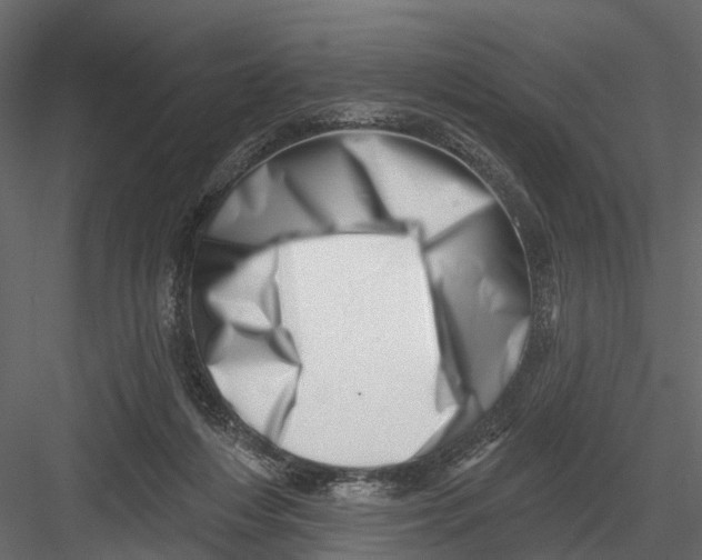 X0000082980216200702230042