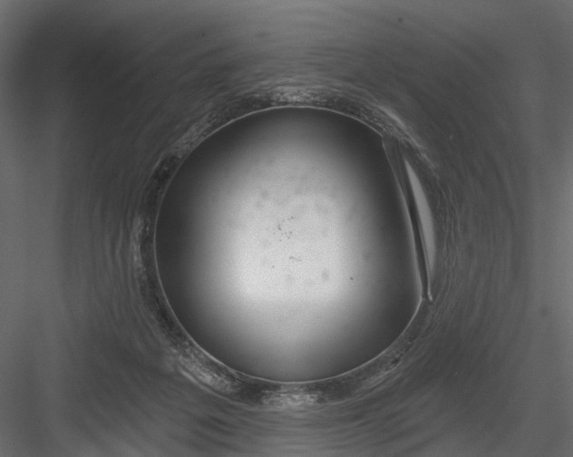 X0000082980217200702230042