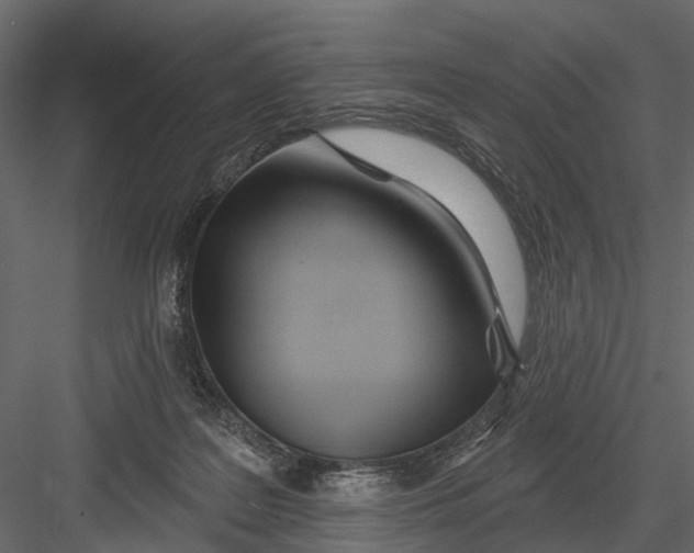 X0000082980219200702230042