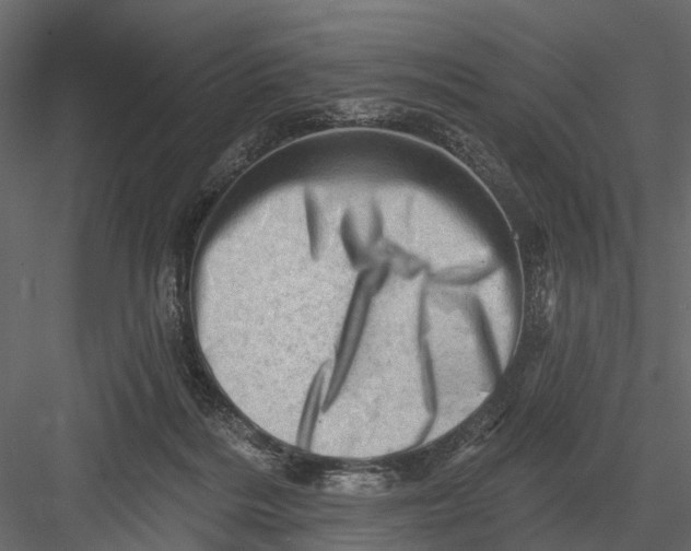 X0000082980220200702230042