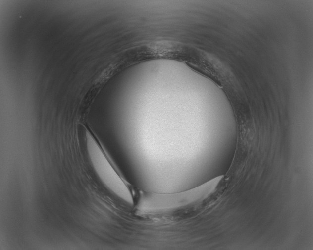 X0000082980221200702230042