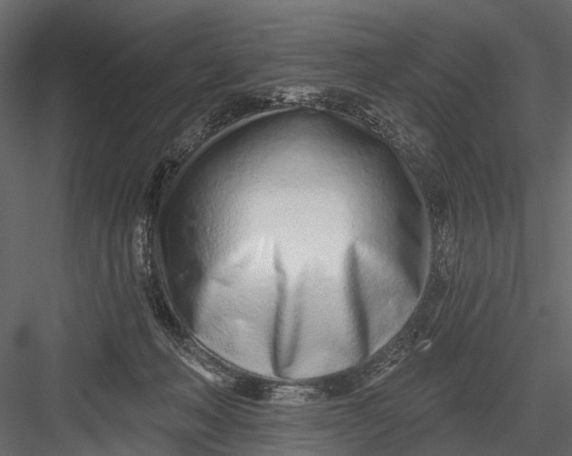 X0000082980222200702230042