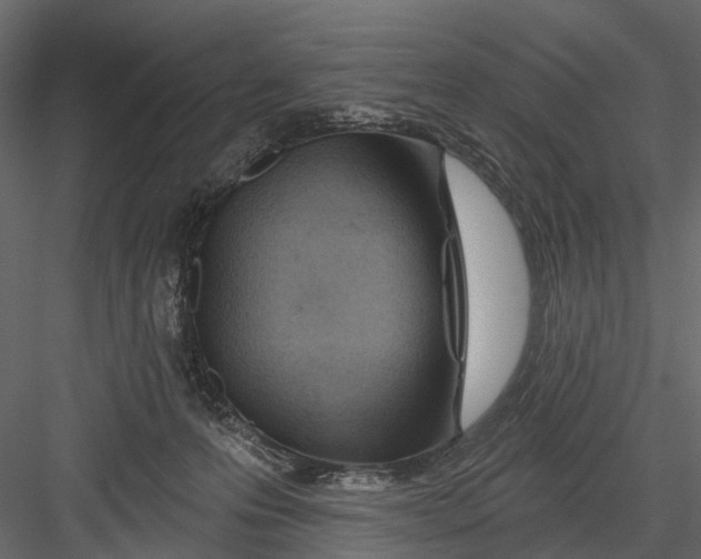 X0000082980223200702230042