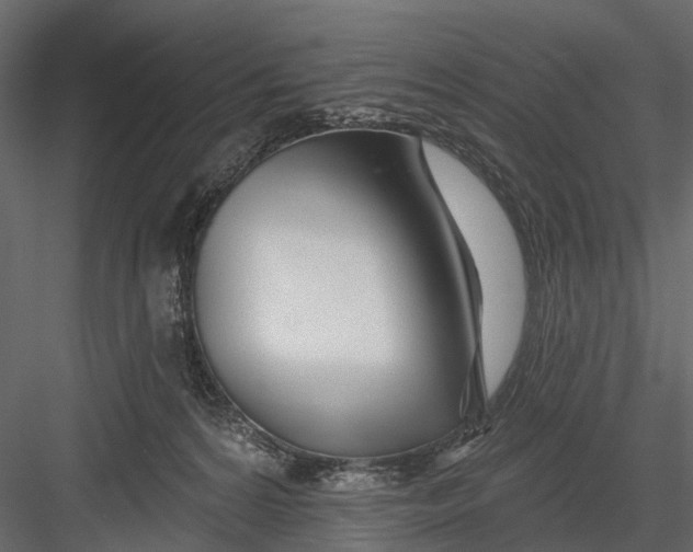X0000082980224200702230042