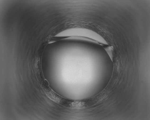 X0000082980225200702230042