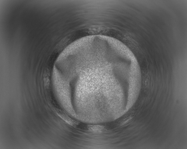 X0000082980226200702230042