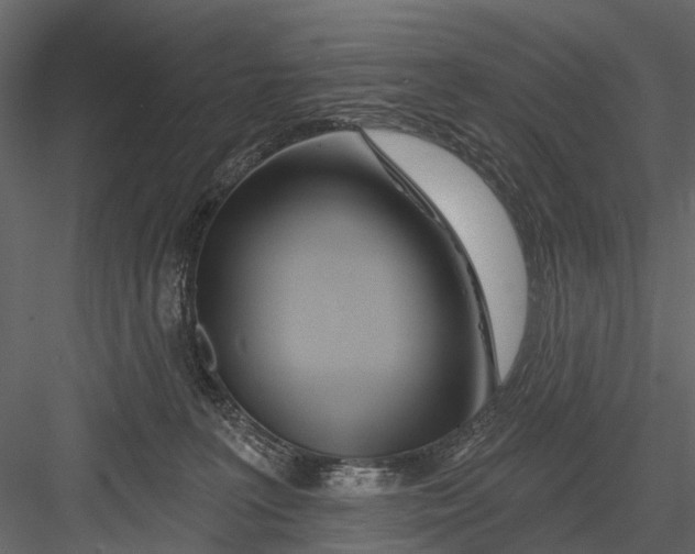 X0000082980227200702230042