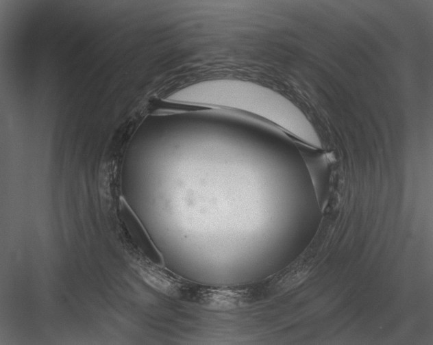 X0000082980229200702230042