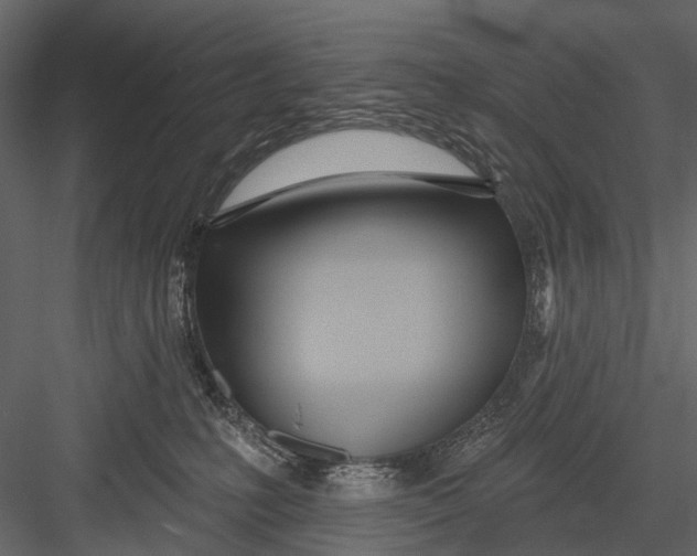 X0000082980231200702230042