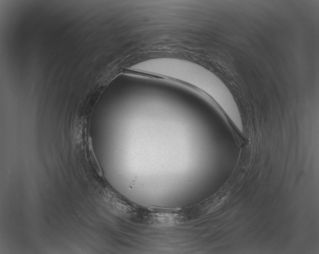 X0000082980233200702230042