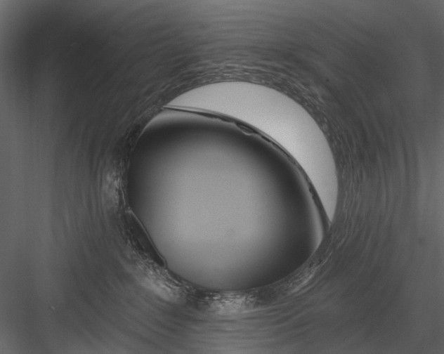 X0000082980235200702230042