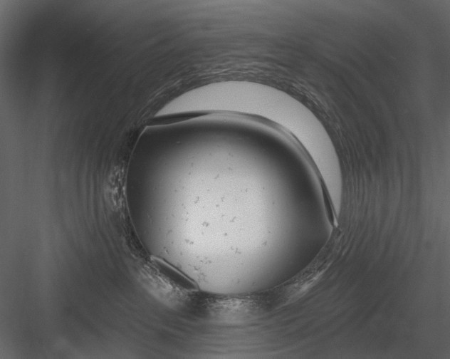X0000082980237200702230042