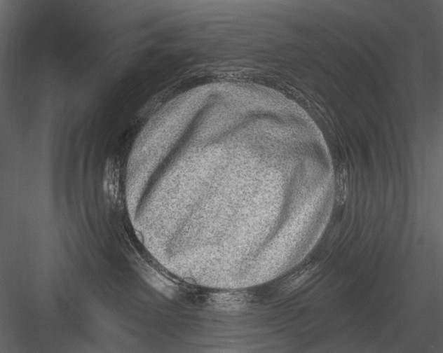 X0000082980238200702230042