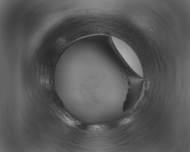 X0000082980239200702230042
