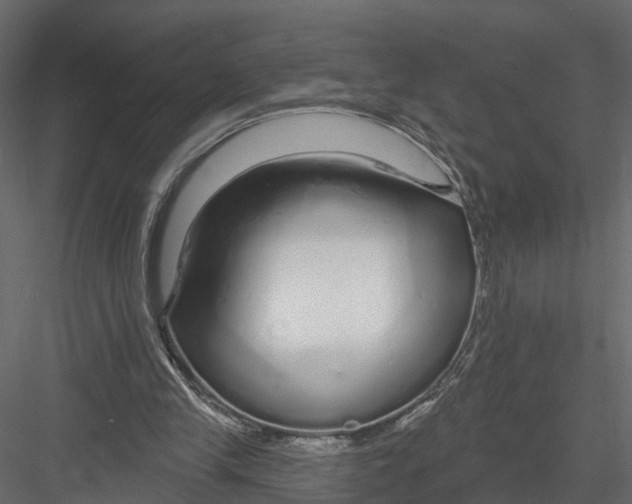 X0000082980245200702230041