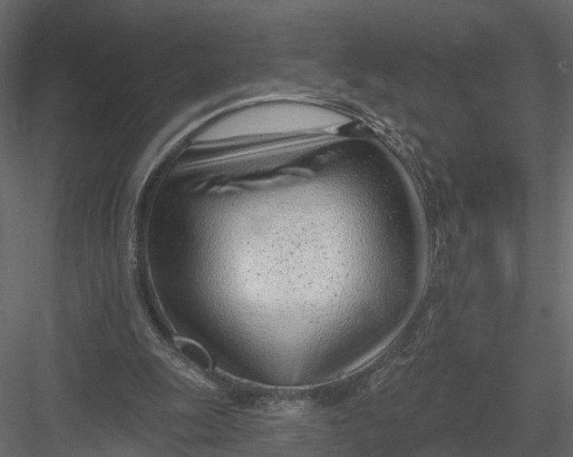 X0000082980247200702230041