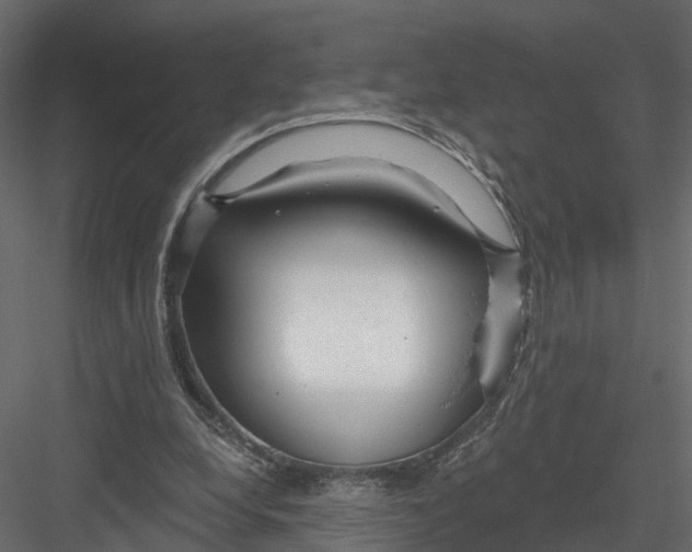 X0000082980248200702230041