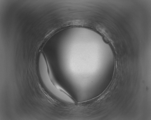 X0000082980249200702230041