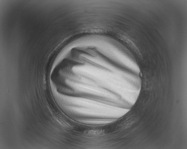 X0000082980251200702230041