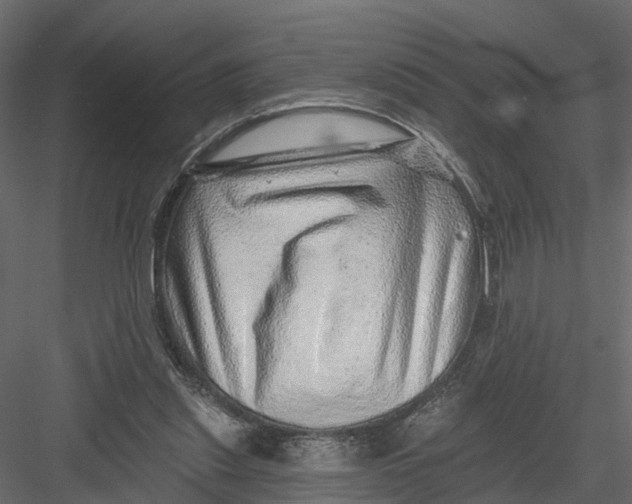 X0000082980253200702230041