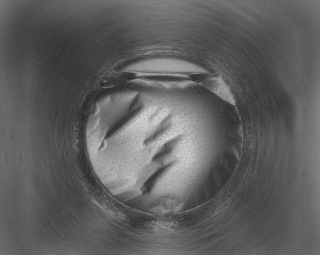X0000082980255200702230041