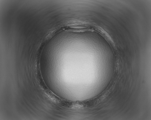 X0000082980257200702230041