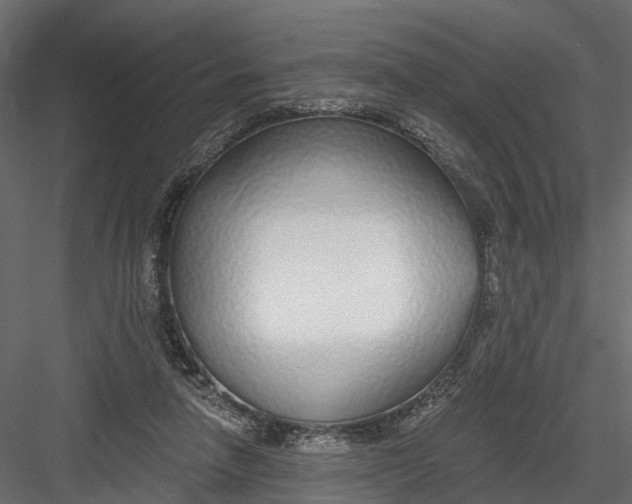 X0000082980258200702230041