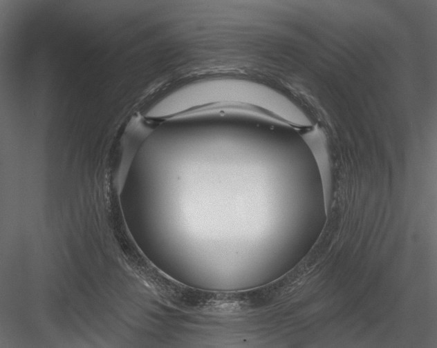 X0000082980260200702230041