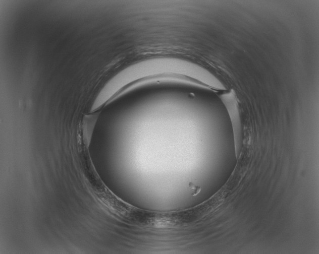X0000082980264200702230041