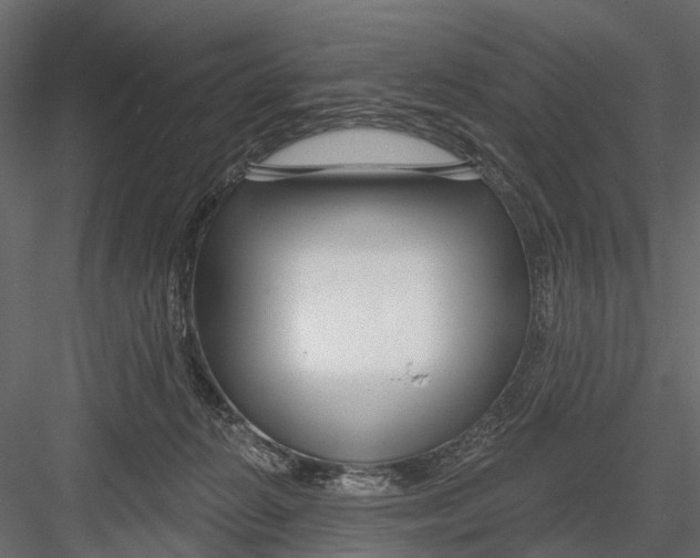 X0000082980270200702230041