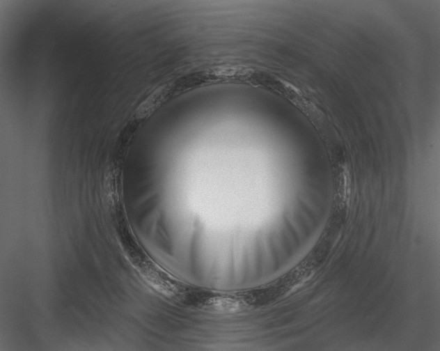 X0000082980272200702230041