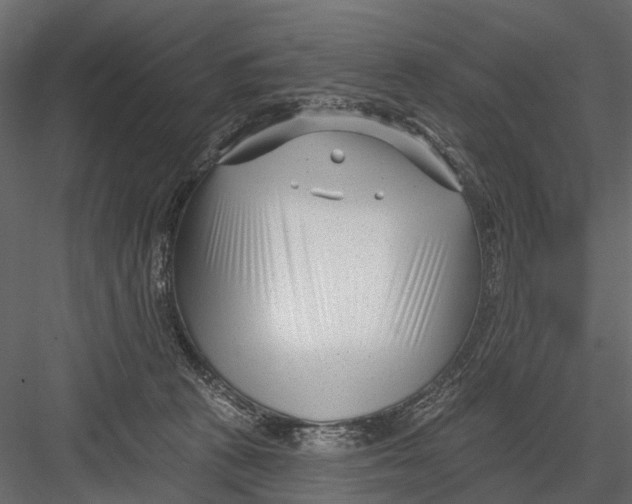 X0000082980273200702230041