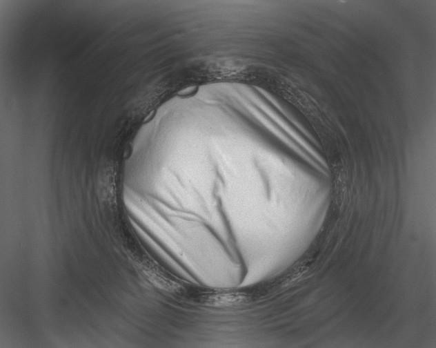 X0000082980274200702230041