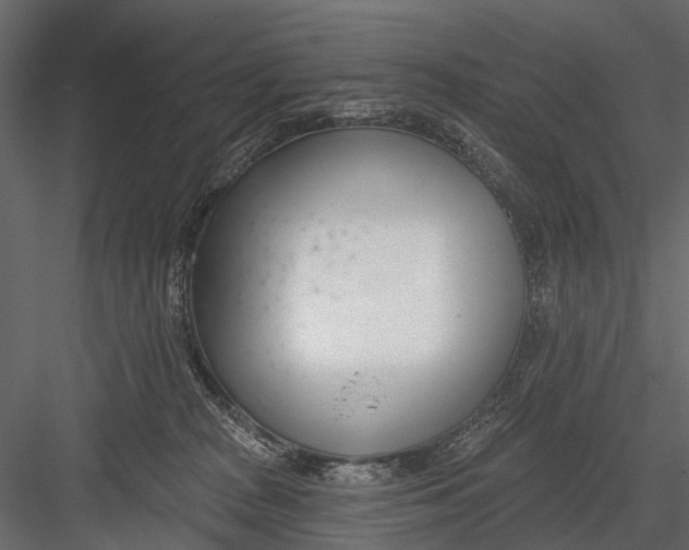X0000082980277200702230041