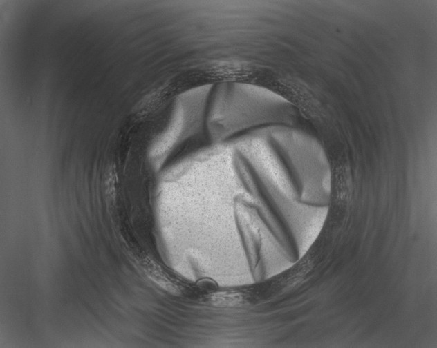 X0000082980279200702230041